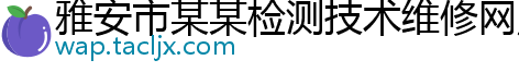 雅安市某某检测技术维修网点